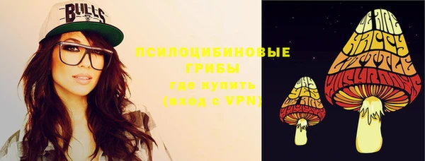 эйфоретик Надым