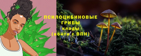 эйфоретик Надым