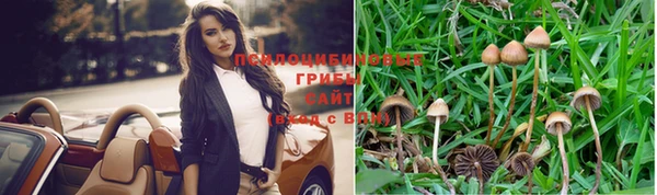 эйфоретик Надым