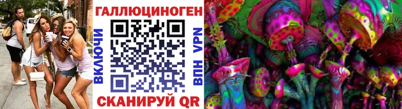 Псилоцибиновые грибы GOLDEN TEACHER  Всеволожск 
