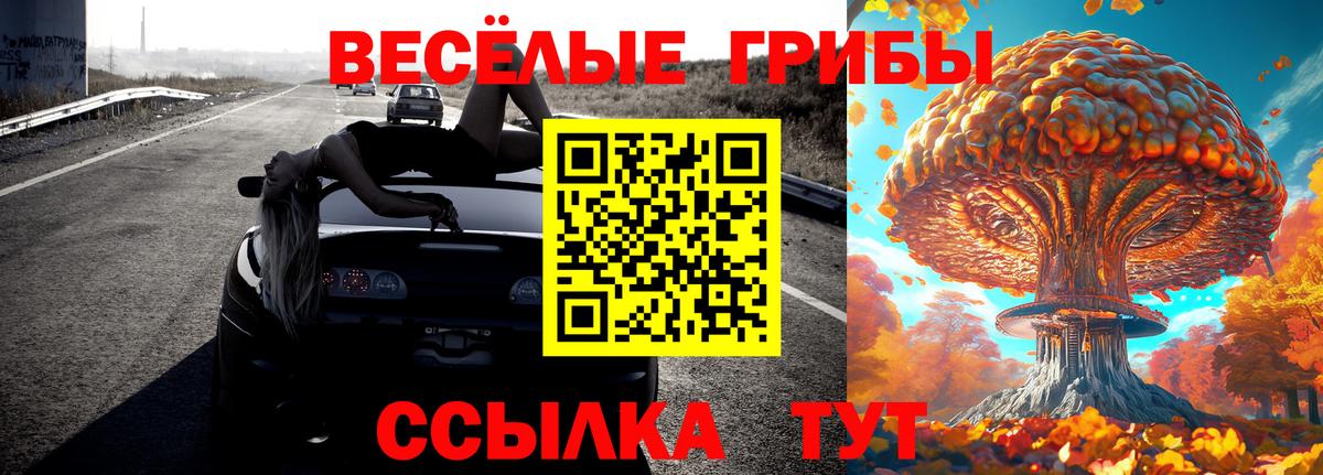 Всеволожск  Псилоцибиновые грибы GOLDEN TEACHER  Вход с VPN 