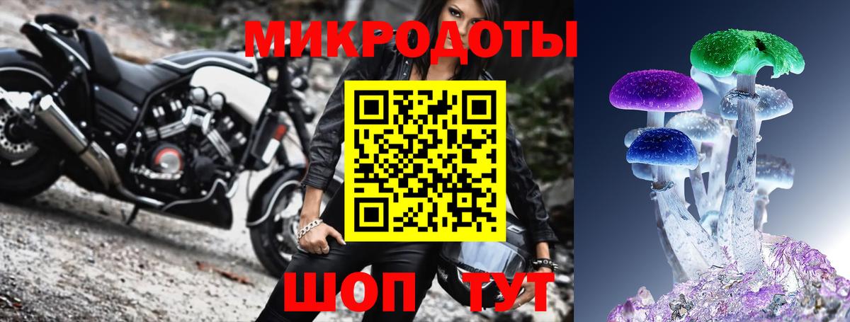 Псилоцибиновые грибы Psilocybe Всеволожск